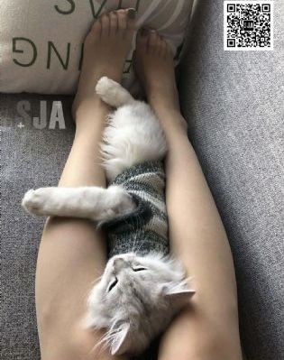 五月丁香五月综合欧美_剧情片电影完整版